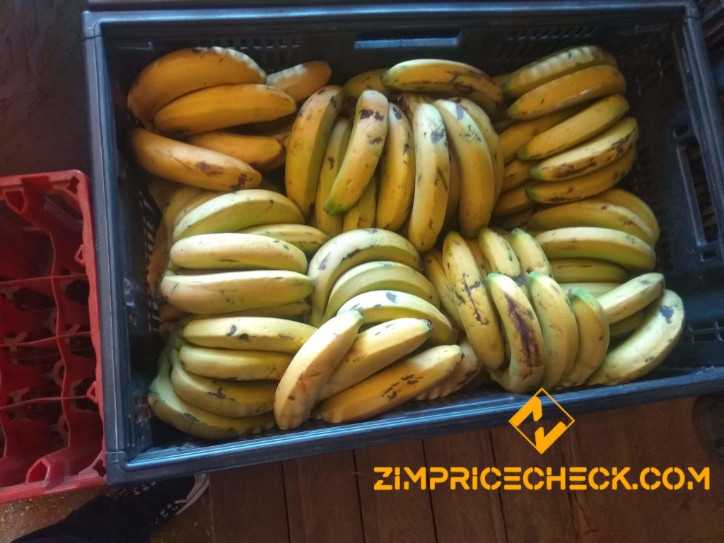 banana fruit in a crate