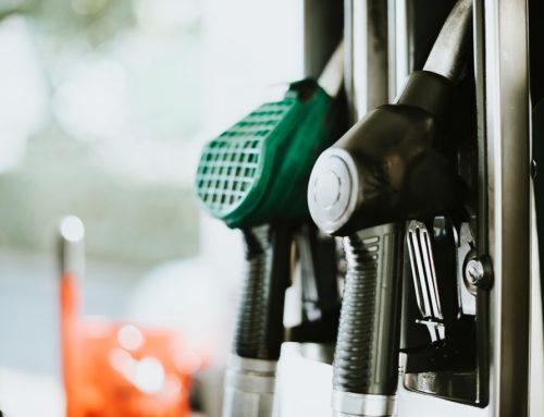 Government brings back E20 in a bid to lower petrol prices