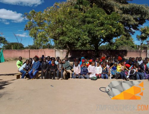 Zimbabwean Grade 6 students to pay US$29 in examination fees