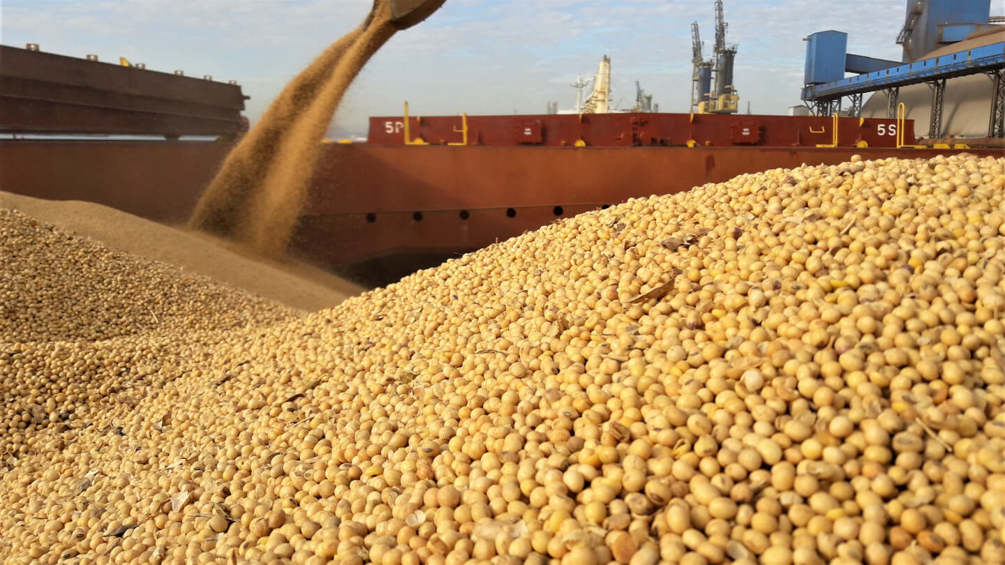 government-bans-the-exporting-of-soya-beans-zimpricecheck