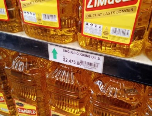 The cooking oil industry begs RBZ for more funds as shortages hit the market