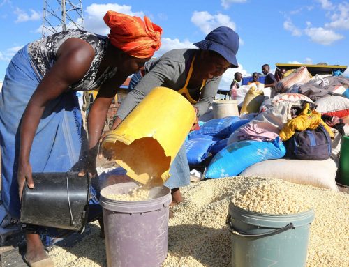 Farmers getting paid US$420 per tonne on the black market