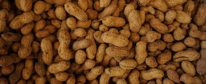 unshelled peanuts