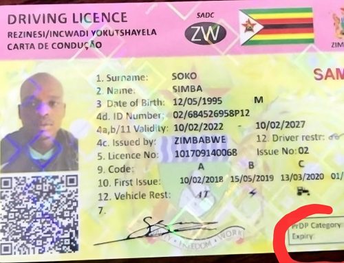 Everything You Need to Know About Zimbabwe’s Plastic Driver’s Licence