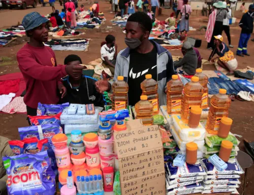 Informal Sector Struggles to Adapt as ZiG Devaluation Chaos Continues